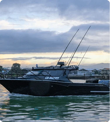 get-to-know-white-pointer-img-2