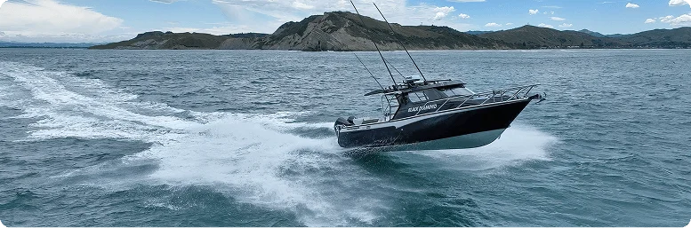 get-to-know-white-pointer-img-3