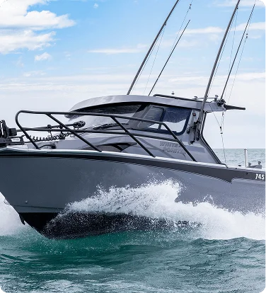 Get to Know White Pointer